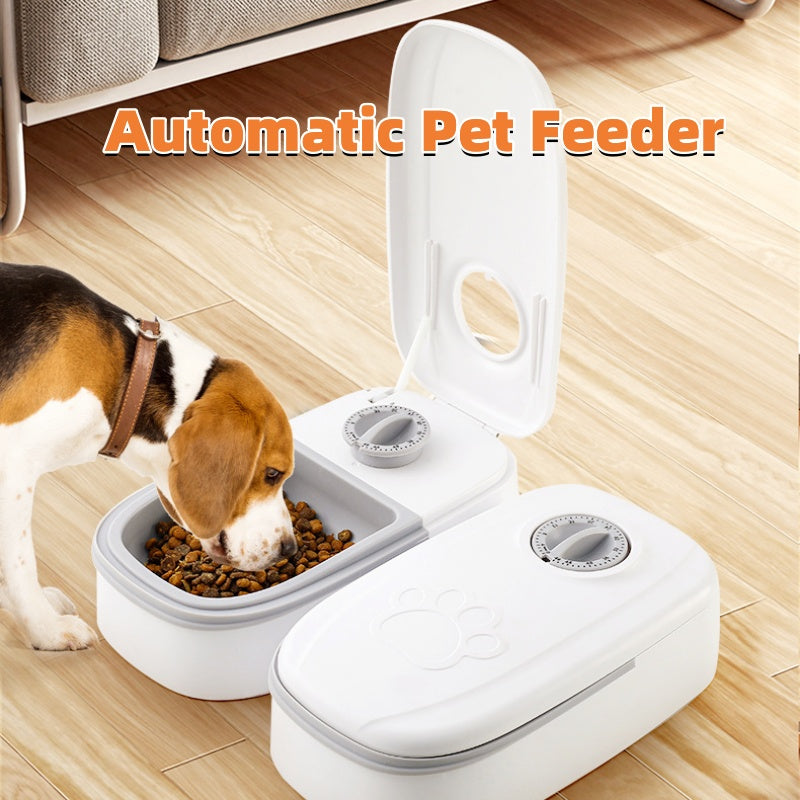 Automatic Pet Feeder & Water Dispenser - Smart and Stainless Steel